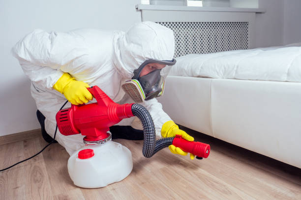 Best Affordable Pest Control Services  in Orchard Mesa, CO