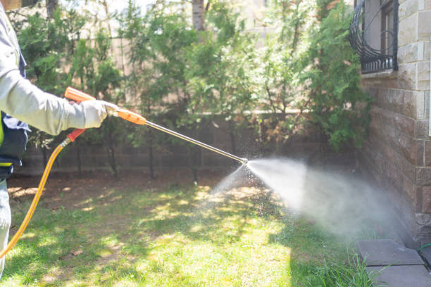 Best Insect Control  in Orchard Mesa, CO