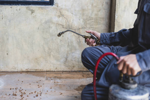 Best Pest Removal Services  in Orchard Mesa, CO